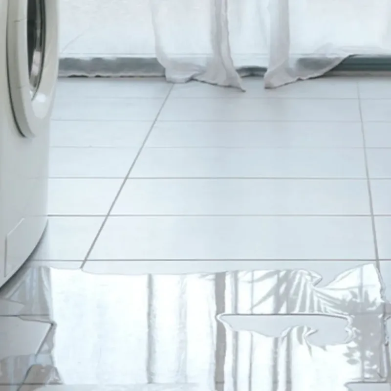 Appliance Leak Cleanup in Danville, NH