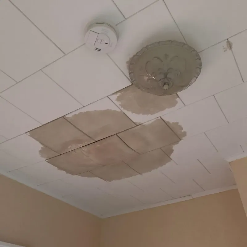 Ceiling Water Damage Repair in Danville, NH