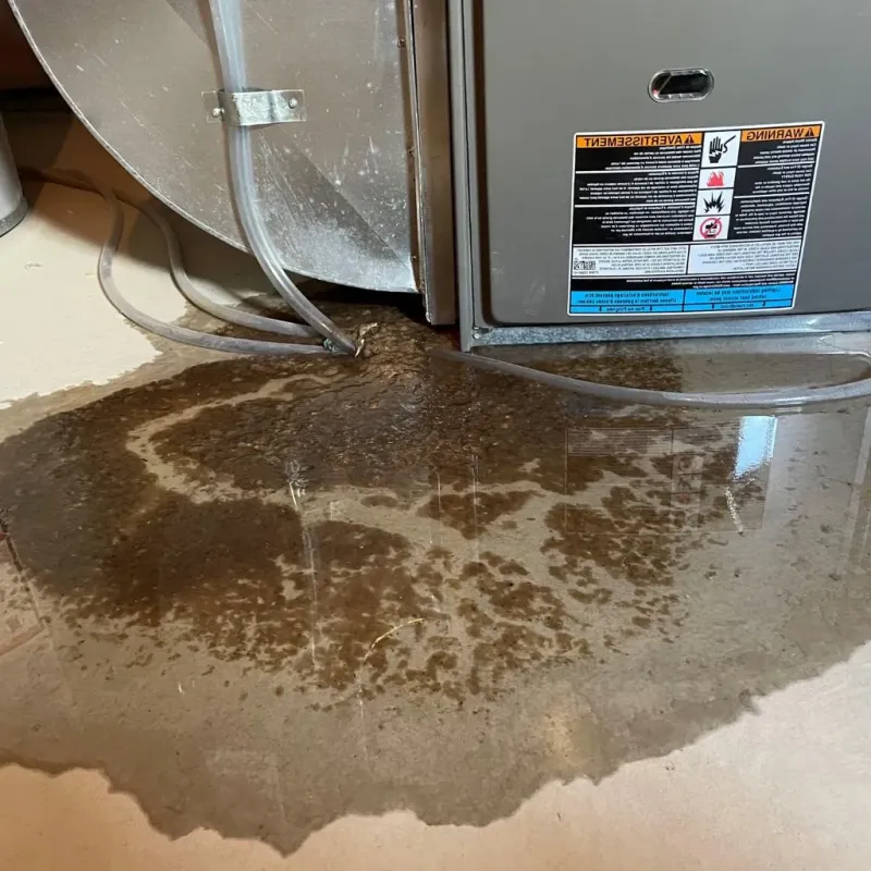 Pipe Burst and Leak Restoration in Danville, NH